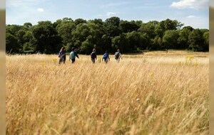 Marche et ateliers Sport Santé parents/enfants 3-6ans à Poucharramet