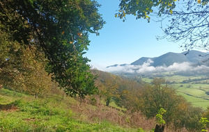 Rando mensuelle à la forêt de Balestas