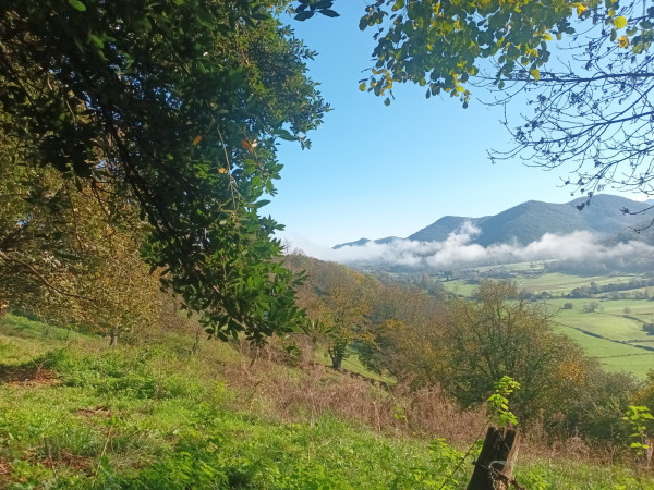 Rando mensuelle à la forêt de Balestas